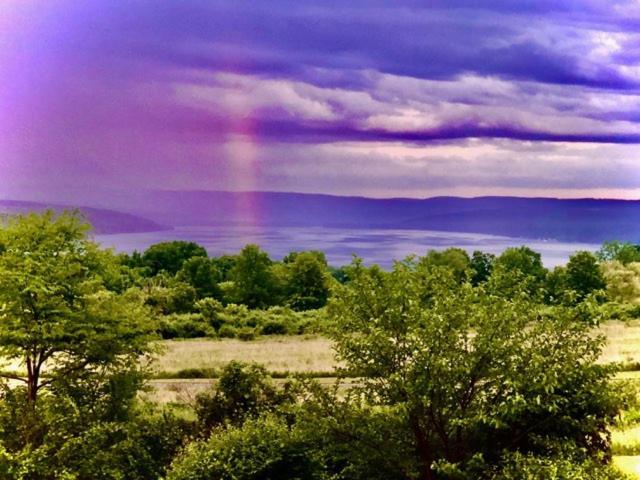 A Cayuga Lakefront Inn - Hotel Alt, Ithaca New York Zewnętrze zdjęcie